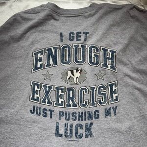 Big dogs grey hanes t shirt